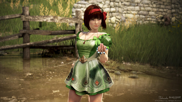 黒い砂漠 リトルサマナー ワンダーランド衣装 染色