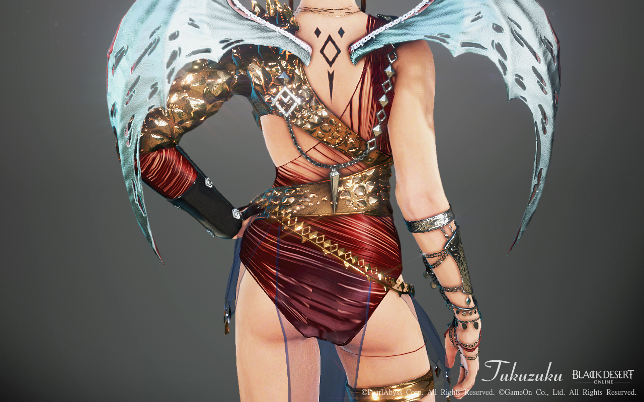 Sr フォールンガルザルの 消えたお尻 Valkyrie Sr フォールンガルザルの 消えたお尻 Valkyrie