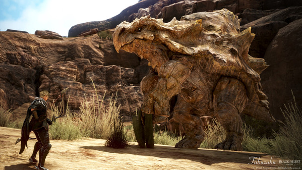 黒い砂漠 石山亀龍 バレンシア大砂漠