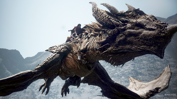 黒い砂漠 ドラゴン 黄昏の翼