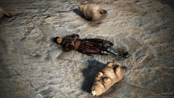 黒い砂漠 ハサシン マーモット