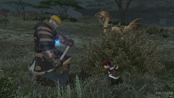 FF14 ララフェル FF14 ララフェル 剣術士育成