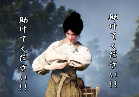 黒い砂漠 エレノール・ブローシュ