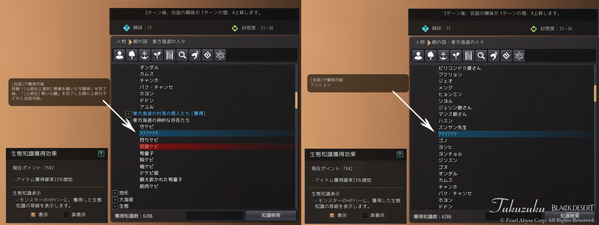 黒い砂漠
