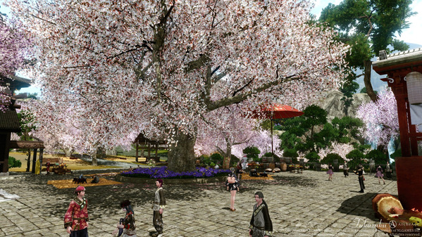 ArcheAge 満開の桜を見に行こう!リュート港の春物語