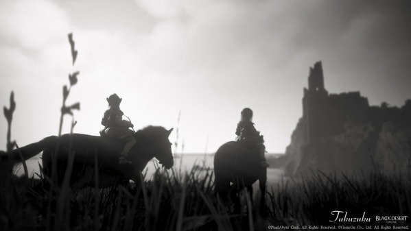 黒い砂漠 シャイ