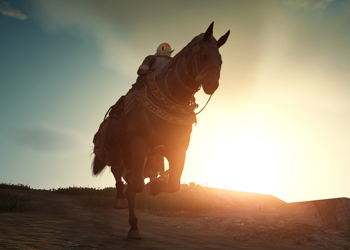 ずっと馬放置 Valkyrie