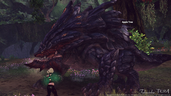TERA Europe