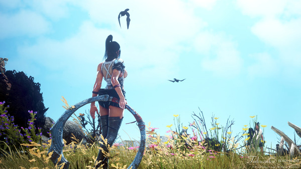 黒い砂漠 くノ一 [KN]アセシーナ衣装