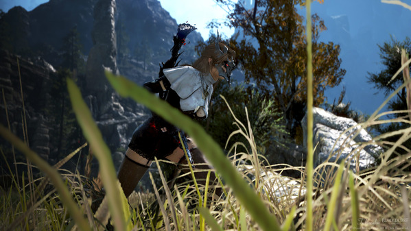 黒い砂漠 デッドアイ [DE]ベアテ衣装