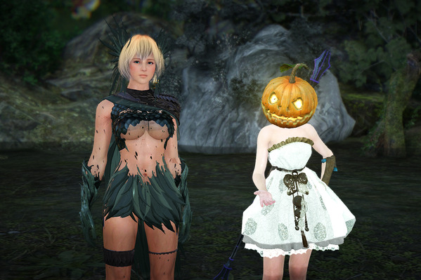 黒い砂漠 ヴァルキリー リトルサマナー