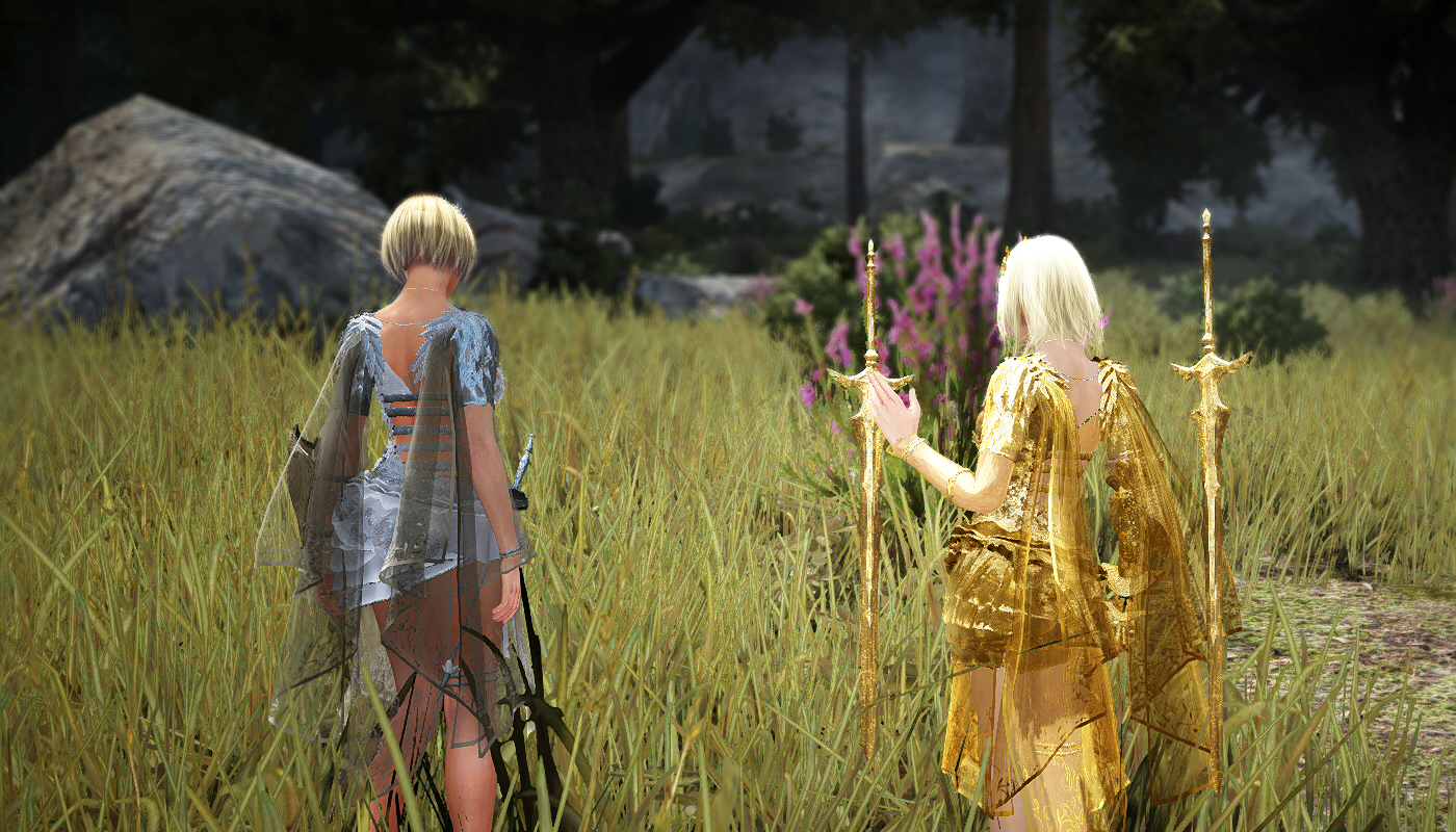 最近の色々です Valkyrie 最近の色々です Valkyrie