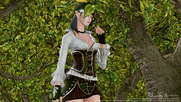 ArcheAge エルフ 暁露装備