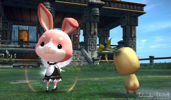 TERA エリーン