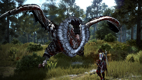 黒い砂漠 闇の狭間ボス アヒブズグリフォン 忍者