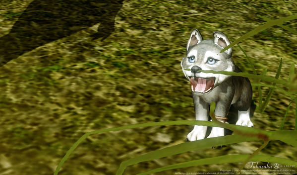 ArcheAge ふれあいペット王国 2021