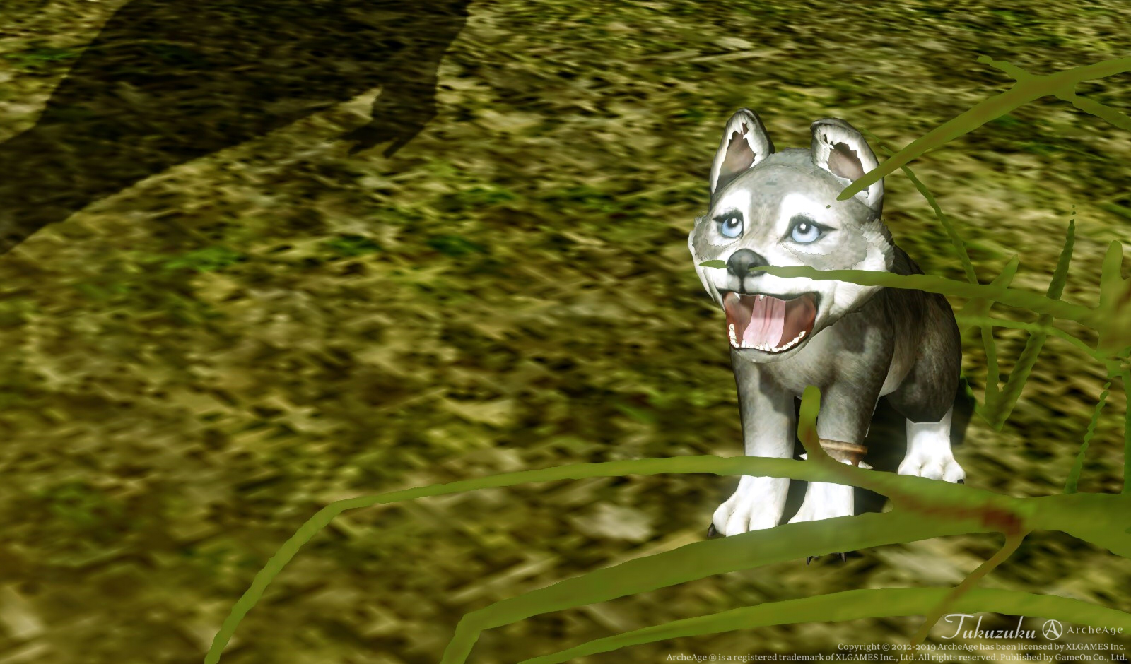Archeage ふれあいペット王国21 Valkyrie Archeage ふれあいペット王国21 Valkyrie