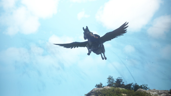 黒い砂漠 空を飛ぶロバ ロドゥアナート