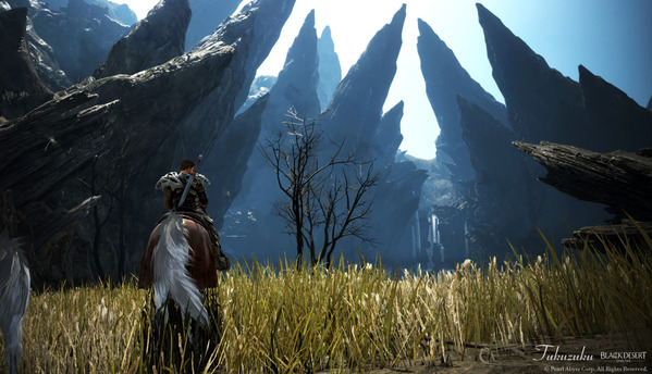 黒い砂漠 ウォーリア ガーモス