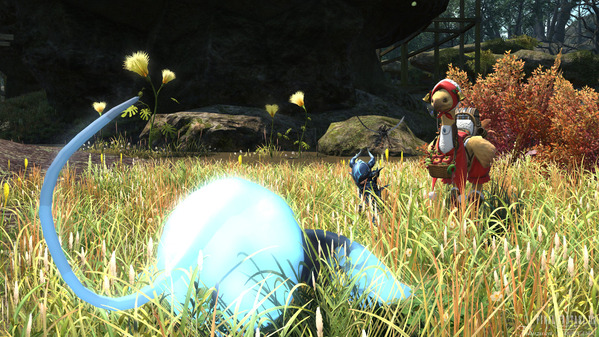 FF14 黒衣森：南部森林