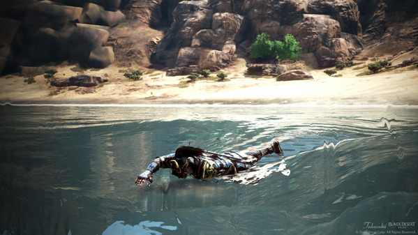 黒い砂漠 忍者 バレンシア