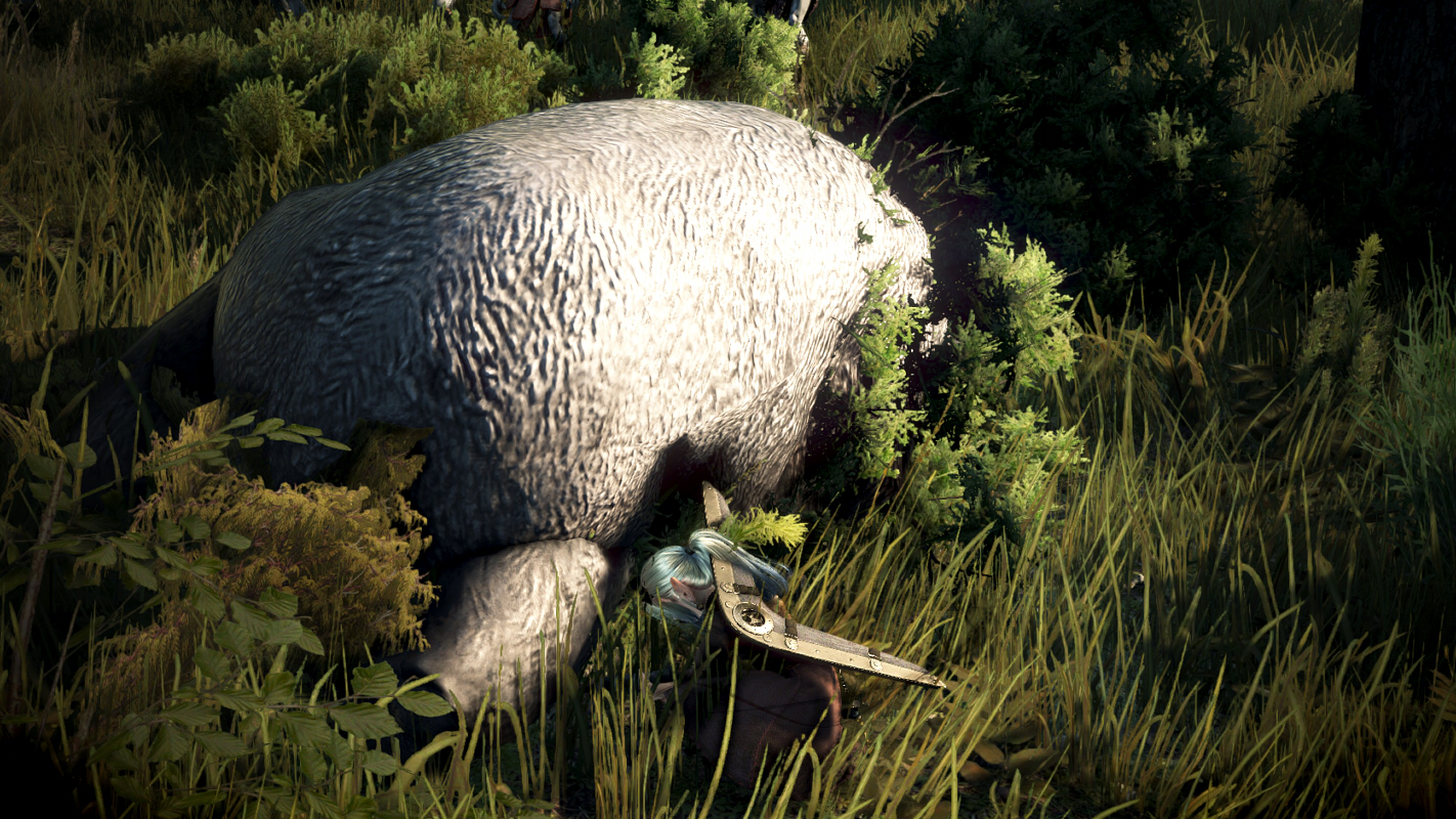 カルフェオン地域のメインクエスト終了 Valkyrie