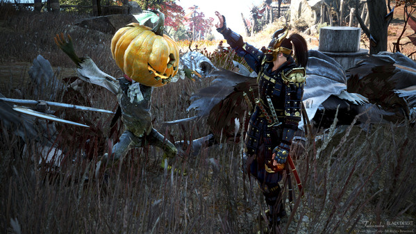 黒い砂漠 忍者 <お化け>カボチャ ハロウィンイベント