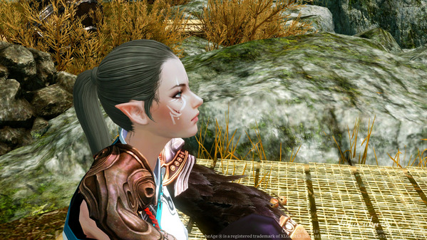 ArcheAge エルフ