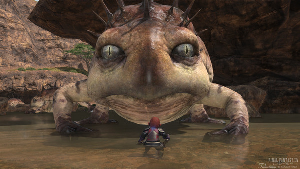 FF14 トキシックトード ララフェル FF14 ララフェル 剣術士