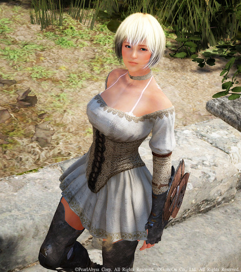 黒い砂漠 ヴァルキリー フォーボ