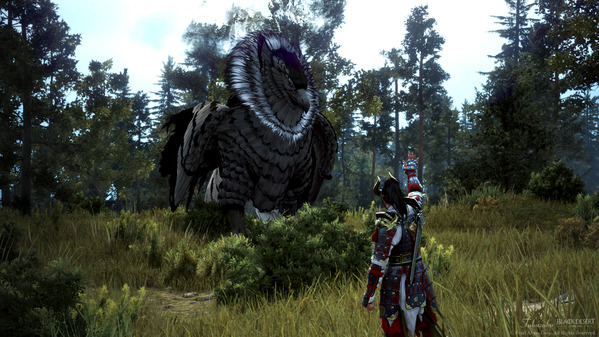 黒い砂漠 闇の狭間ボス アヒブズグリフォン 忍者