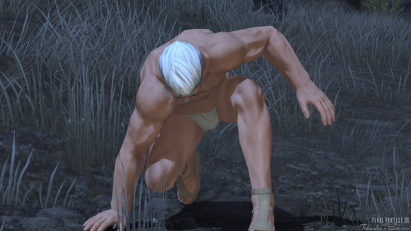 FF14 謎の事件屋 ゴッドベルト