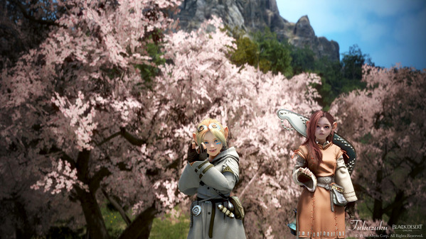 黒い砂漠 シャイ 桜