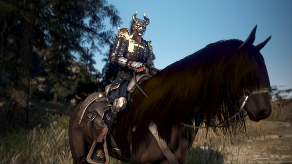 黒い砂漠 忍者 [NJ] 白の山猫アーマー 暗鬼ヘルム