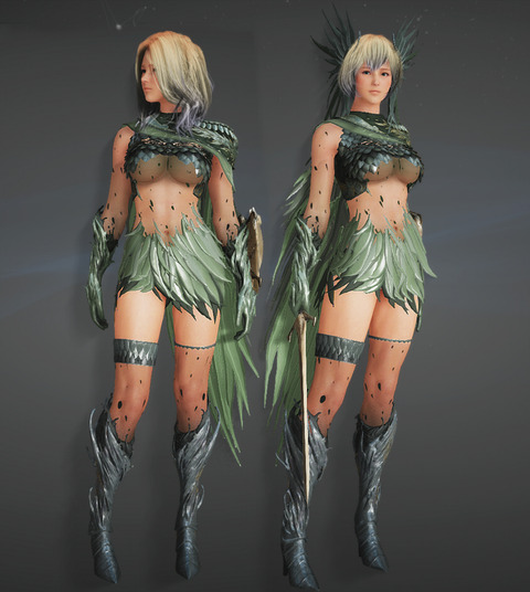 BlackDesert Valkyrie 黒い砂漠 サンシュヴァリエ
