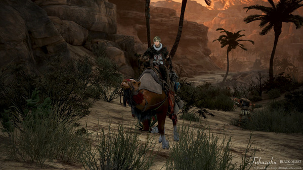 黒い砂漠 アーチャー ラクダ