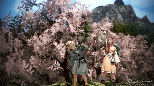 黒い砂漠 シャイ 桜