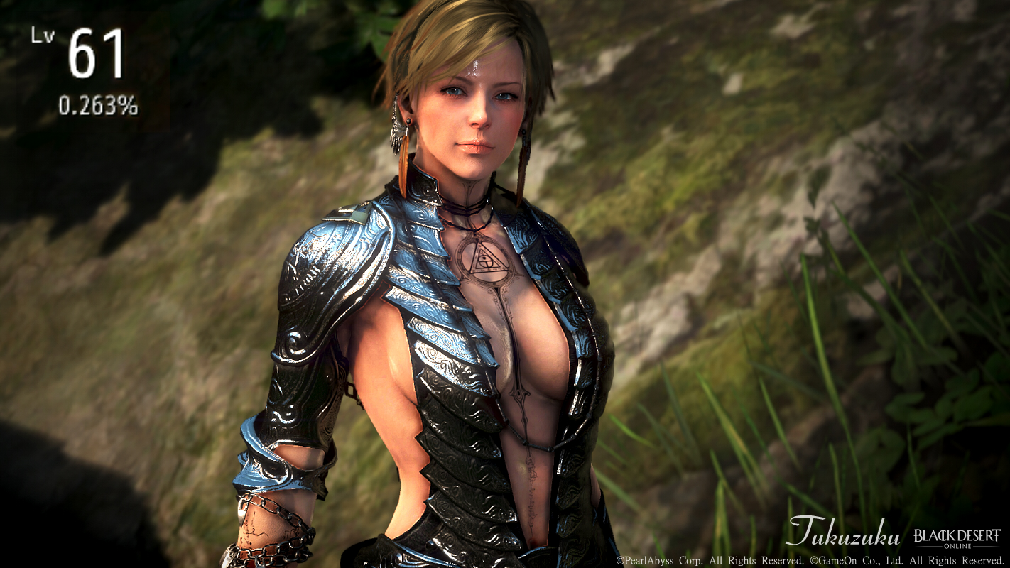 ヴァルキリーとソーサレス Lv 61へ Valkyrie