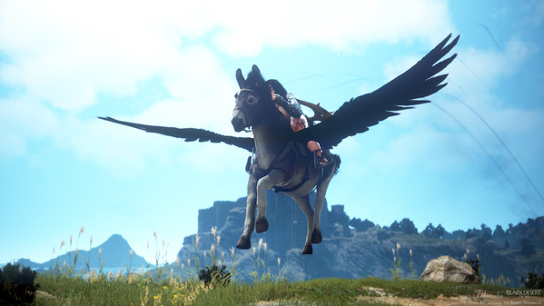 黒い砂漠 空を飛ぶロバ ロドゥアナート