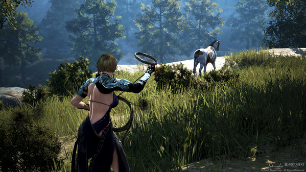 黒い砂漠 ソーサレス 野生馬捕獲