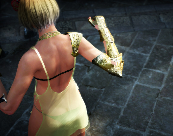 BlackDesert Valkyrie プリエルドランジュ