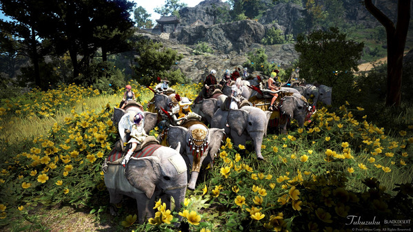 黒い砂漠 荷車象ツアー20