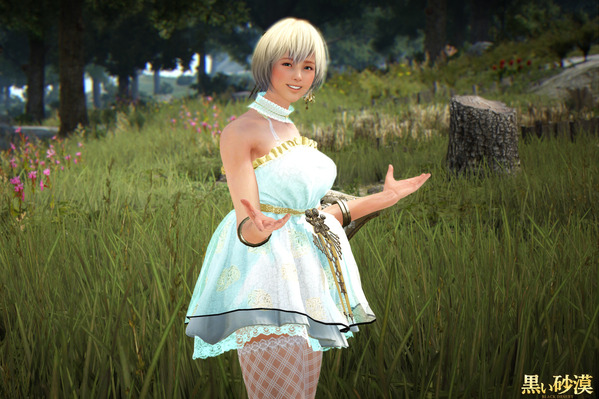 Black Desert Online Valkyrie Puff Mini