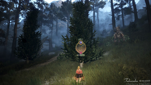 黒い砂漠 モミの木 変更？