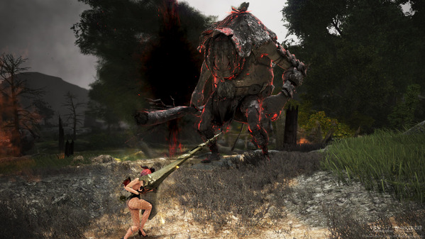 黒い砂漠 トロル生息地[エルビア] ヴァルキリー