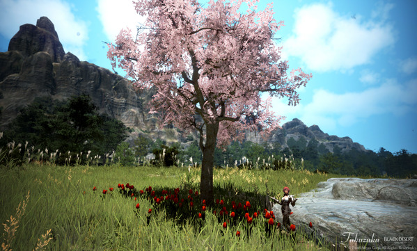 黒い砂漠 [EV]桜の木 チューリップ