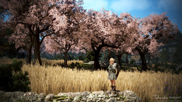 黒い砂漠 シャイ 桜