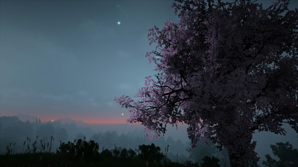 黒い砂漠 桜