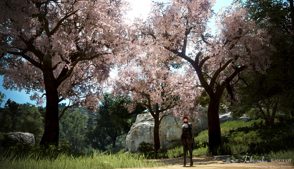 黒い砂漠 桜並木 ヴァルキリー