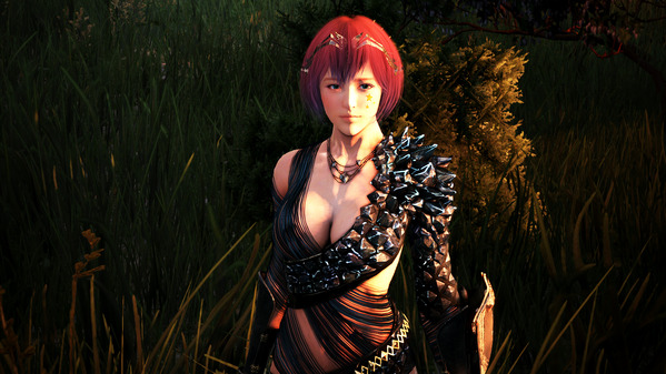 Black Desert Online Valkyrie Fallen Garzar
